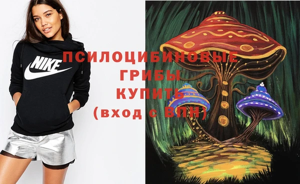 spice Балахна